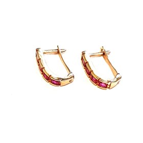 Auskari   11100-0651