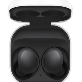 Samsung Galaxy Buds 2 SM-R177 (690-5061)