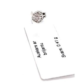 Auskars ar briljantu (0.13 ct) 5560-8361  Rezervēts līdz 28.07.26
