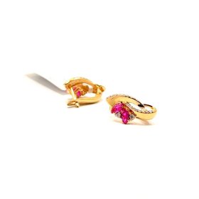 Auskari ar briljantiem un dimantiem ( 0.06 ct )