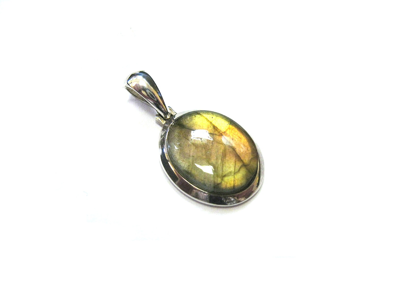 Kulons ar labradoru 23/0535