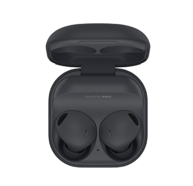 Samsung Galaxy BUDS 2 Pro  (170-4061)