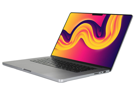 Apple MacBook PRO A2485 (920-961)