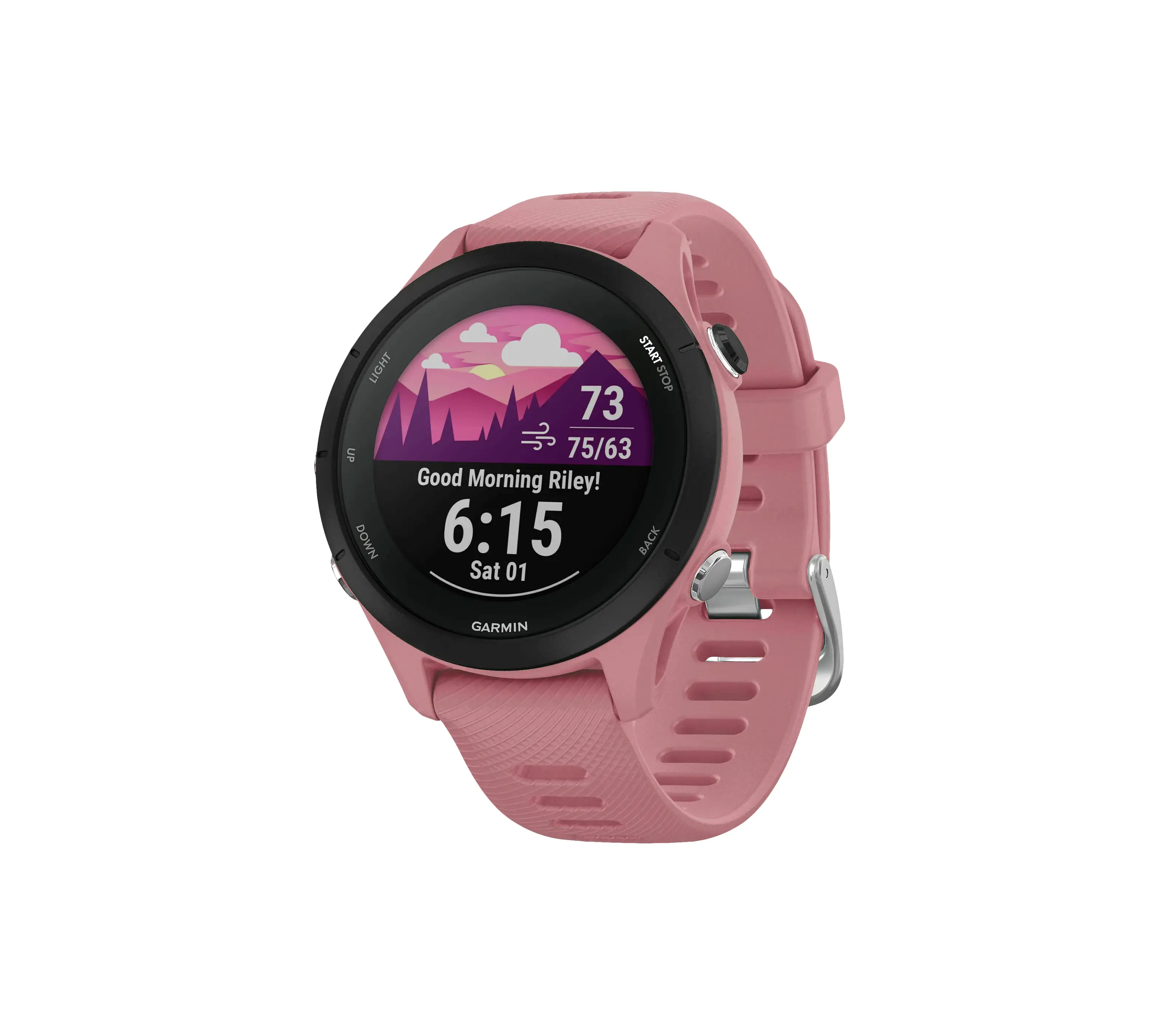 Garmin Forerunner 255 S (2350-5063)