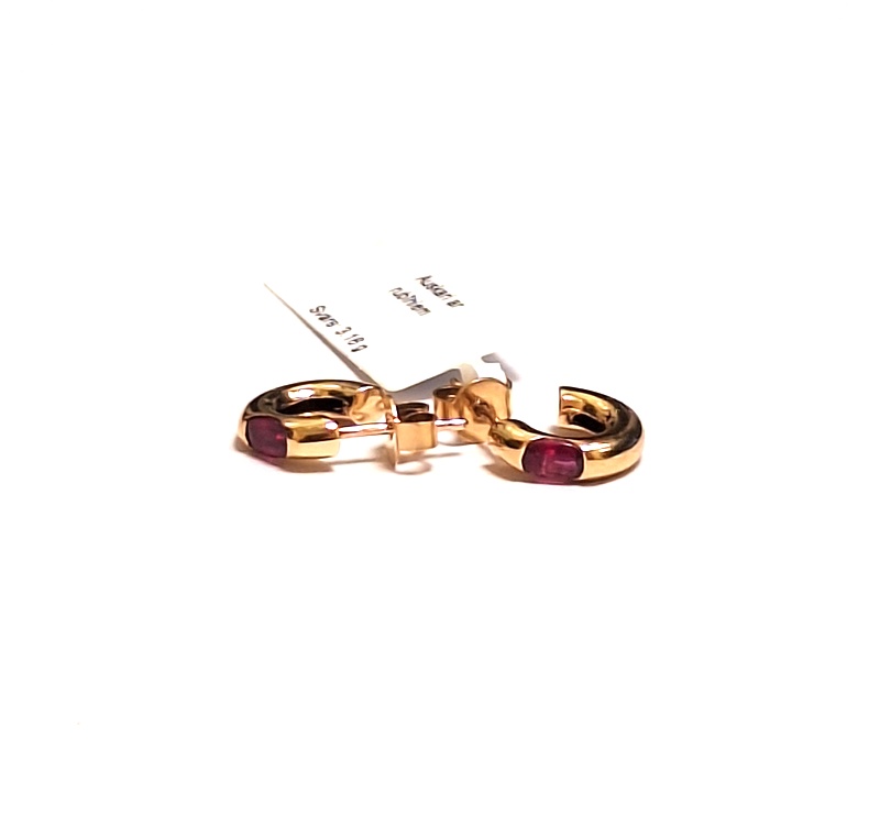 Auskari ar rubīniem (0.20 ct.) 1002-3063
