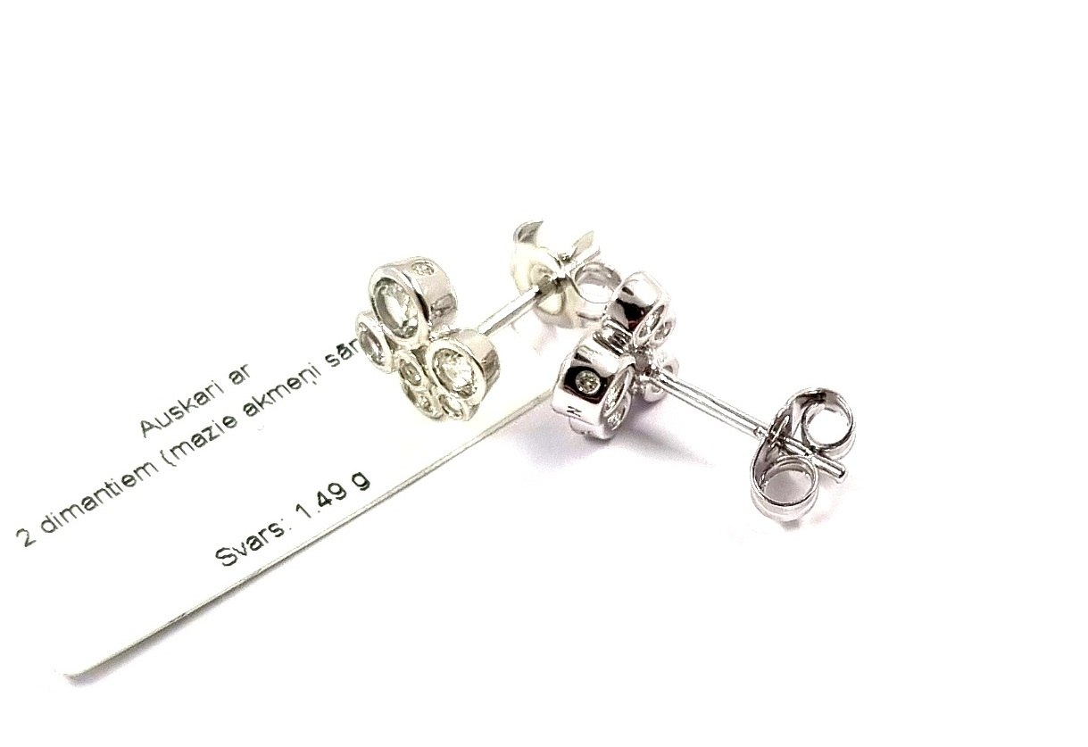 Auskari ar dimantiem (0.02 ct) 104/5755