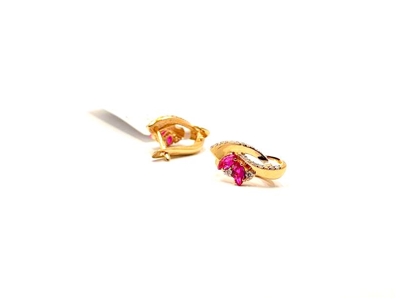 Auskari ar briljantiem un dimantiem ( 0.06 ct )